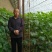 密刺黄瓜25公分以上干花带刺