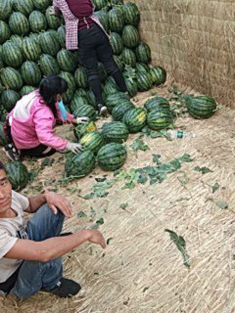 精品甜王
