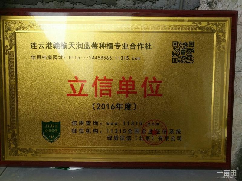 蓝莓12~14mm以上鲜果