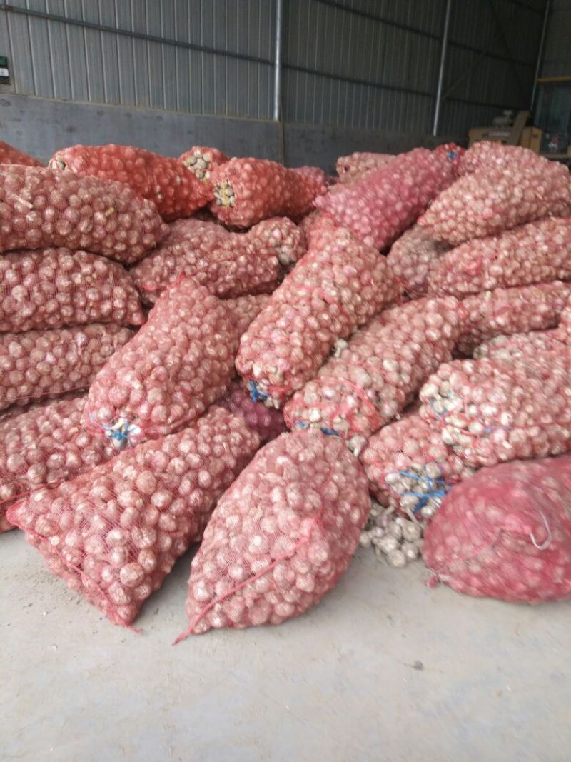 红蒜混级统货大蒜，鲜蒜，丰县，沛县万亩基地大量长期供应