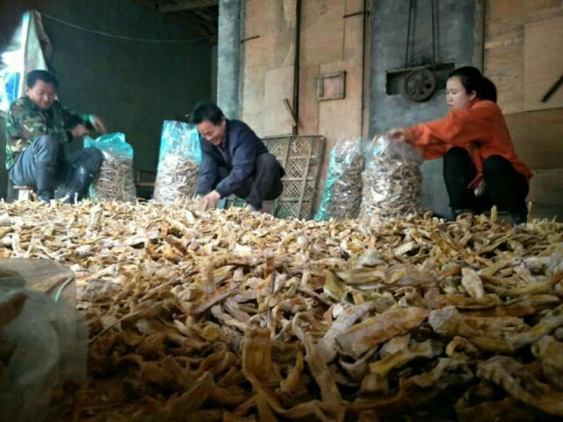 干笋浙江杭州临安今年的新货毛笋干小竹笋干干笋