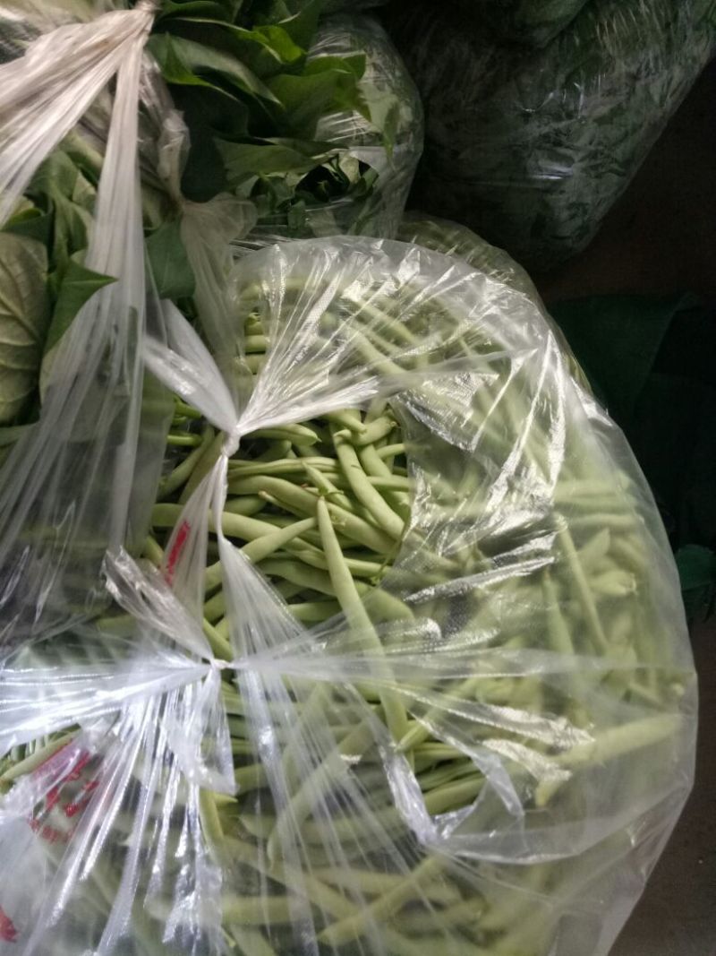 精品苦瓜四季豆