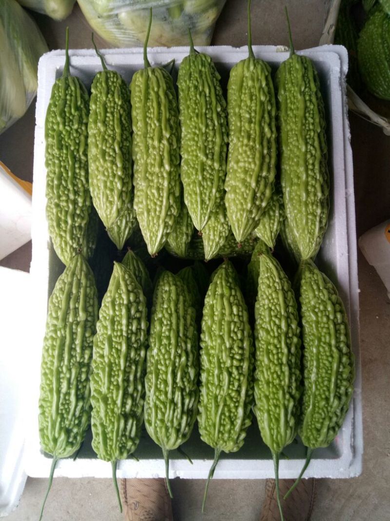 精品苦瓜四季豆