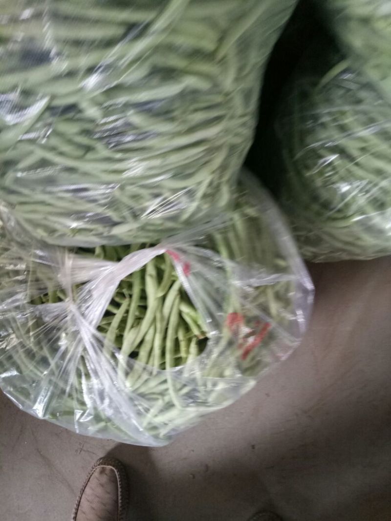 精品苦瓜四季豆