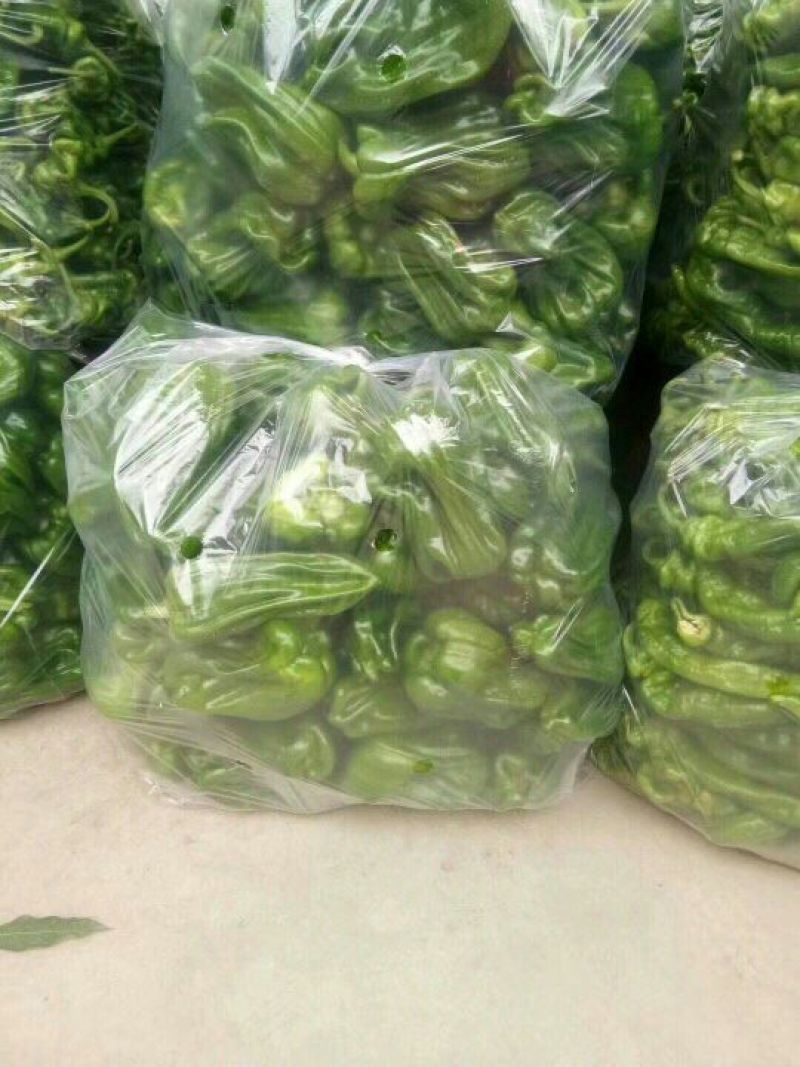 麻辣椒