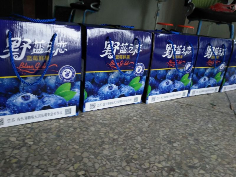 绿色食品，无公害蓝莓