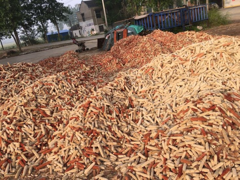 玉米芯粉