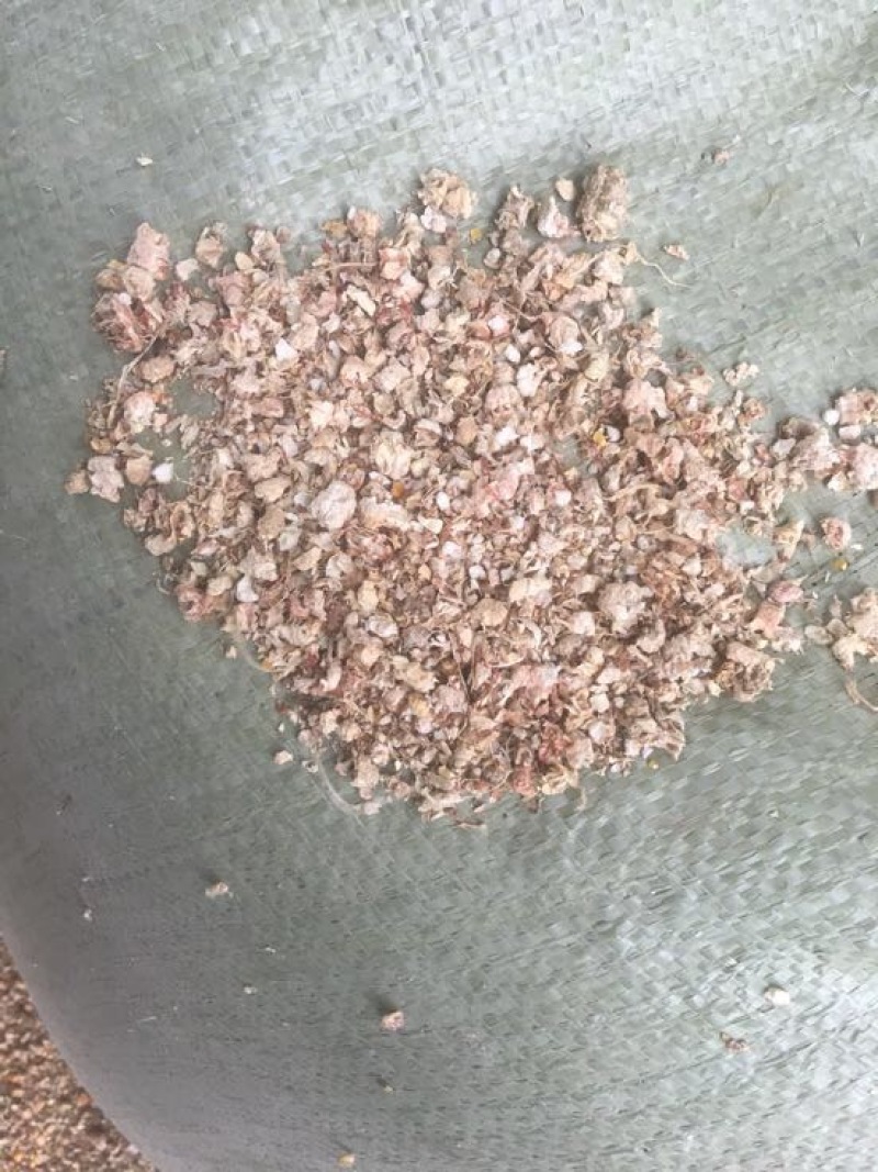 玉米芯粉