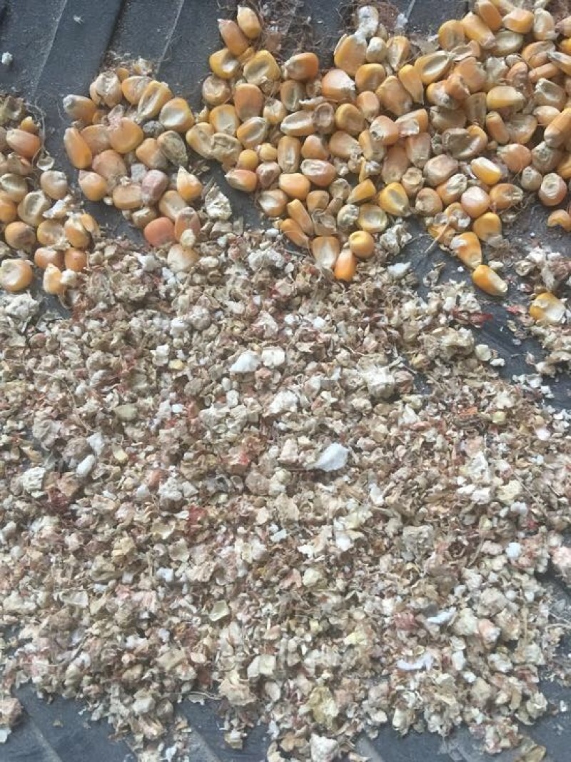玉米芯粉