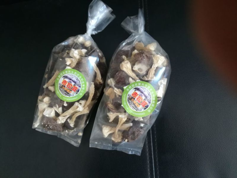 赤松茸，干货，原生态野生化菌菇