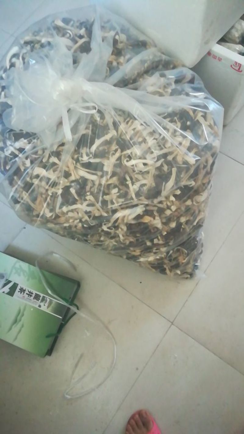 赤松茸，干货，原生态野生化菌菇