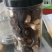 赤松茸，干货，原生态野生化菌菇