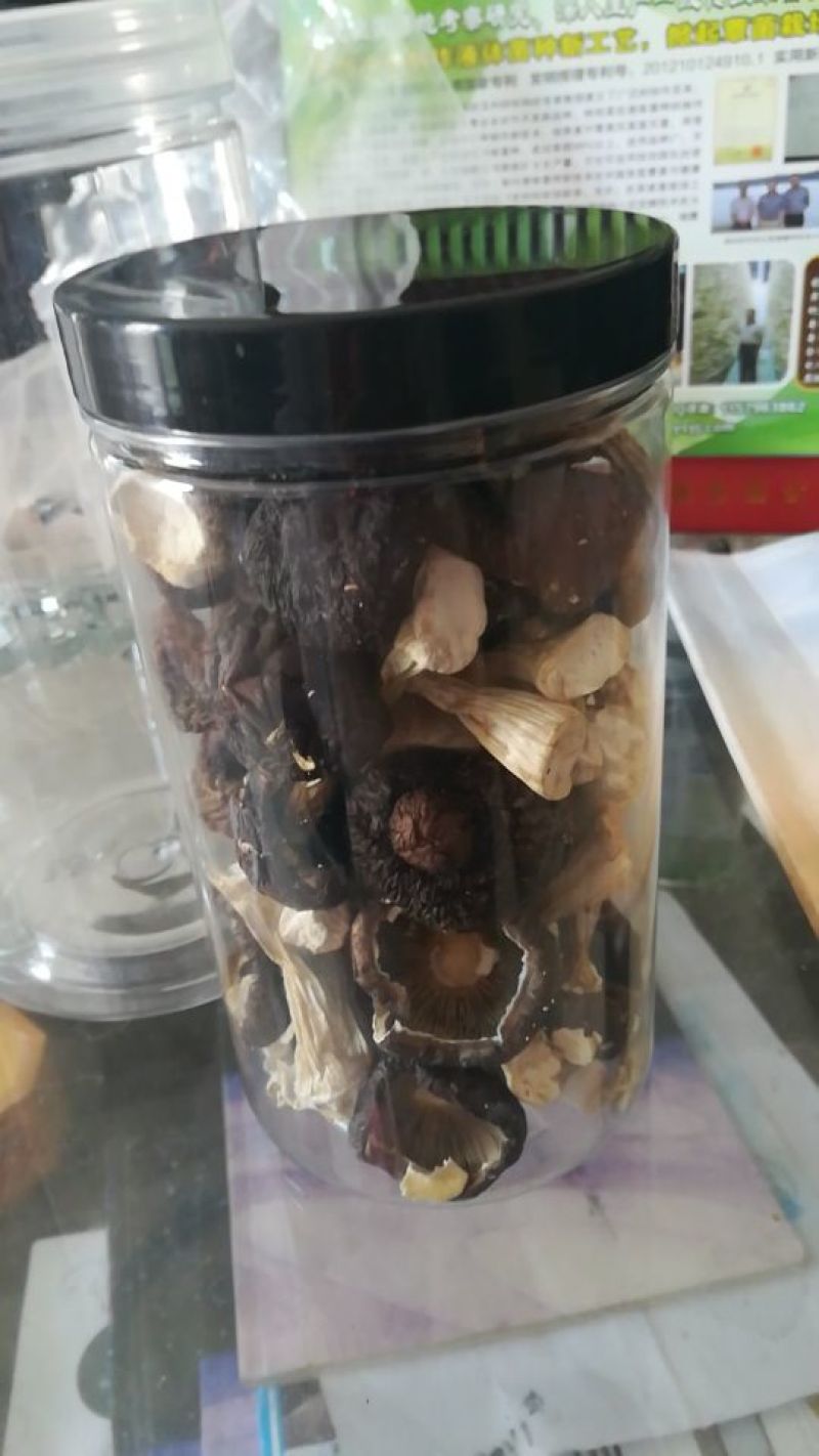 赤松茸，干货，原生态野生化菌菇
