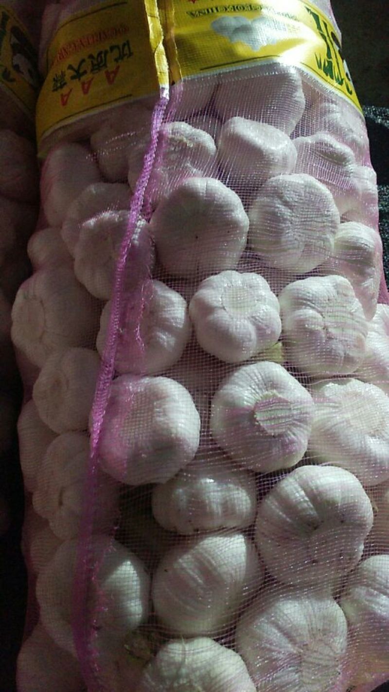 大蒜6~6.5cm鲜蒜
