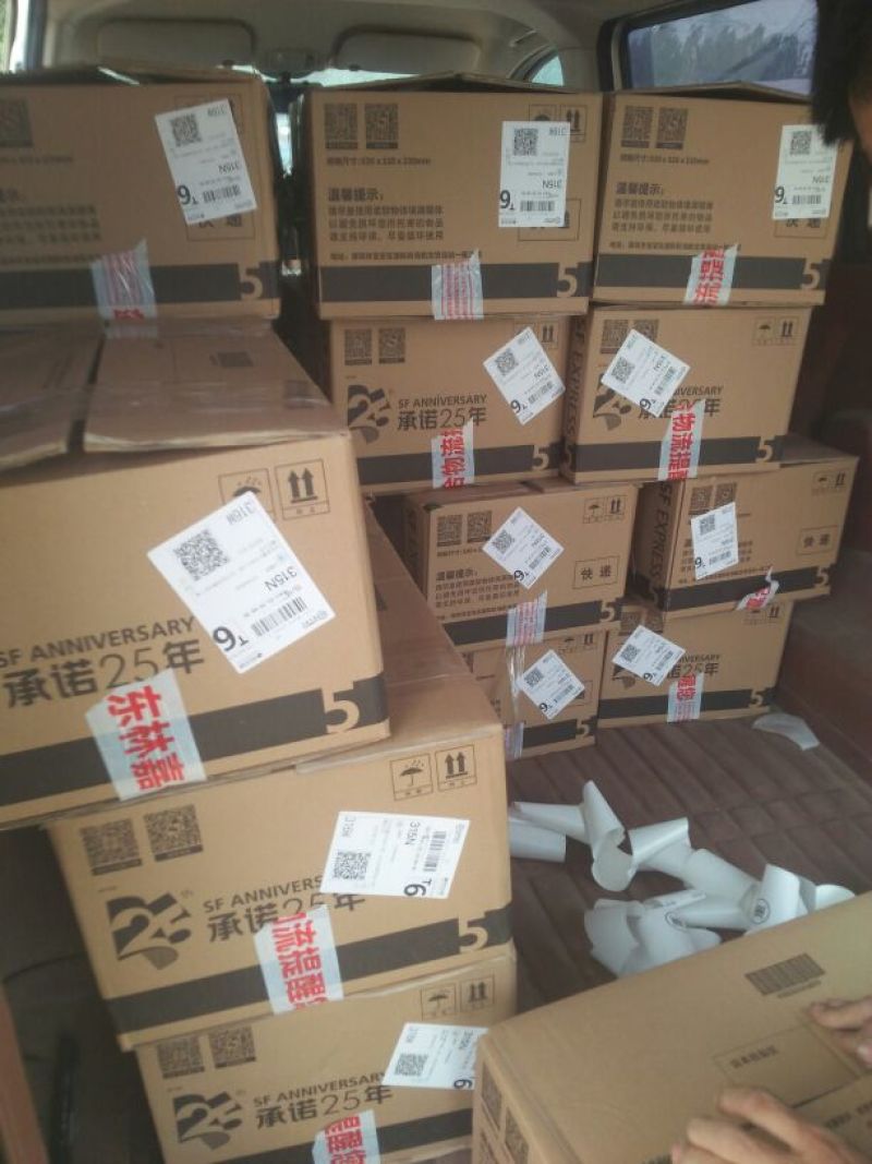 烟薯苗，白哈密，烟薯苗，榴莲蜜薯苗，香薯苗，紫薯苗