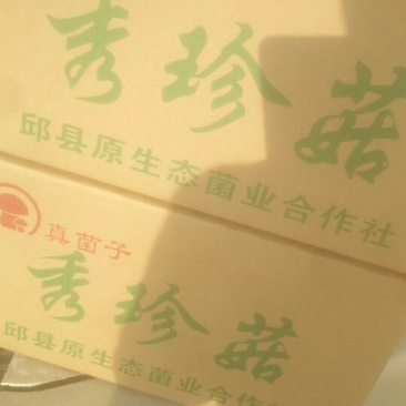 平菇3~5cm黑色厚