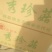 平菇3~5cm黑色厚