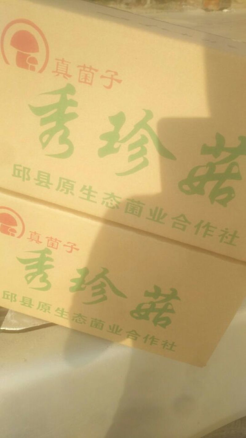 平菇3~5cm黑色厚