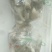 平菇3~5cm黑色厚