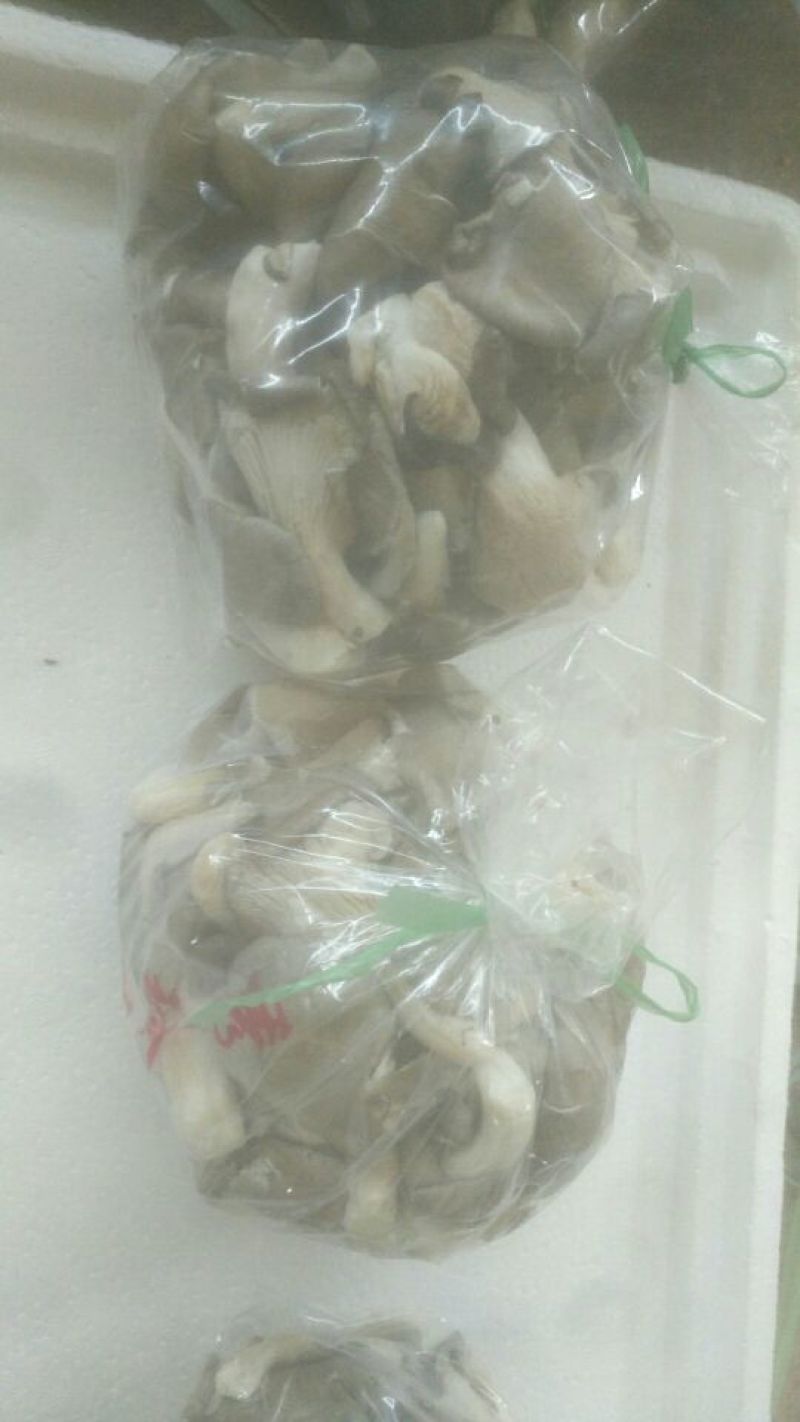 平菇3~5cm黑色厚