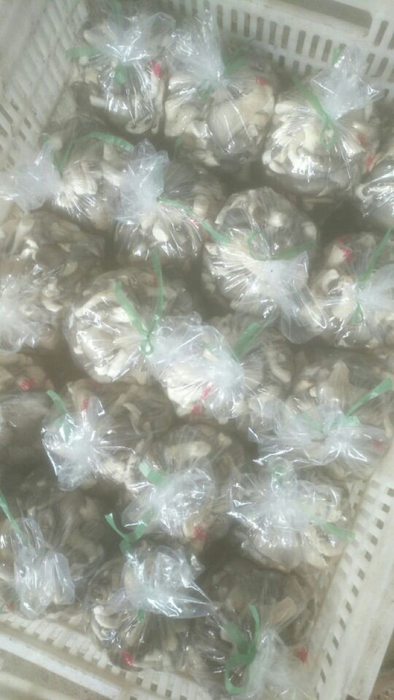 平菇3~5cm黑色厚