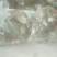 平菇3~5cm黑色厚