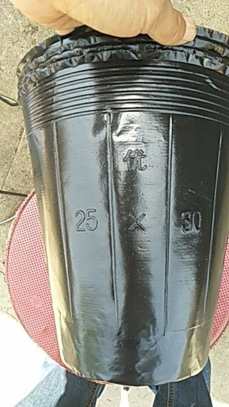 营养杯育苗杯仿瓷塑料花盆营养钵