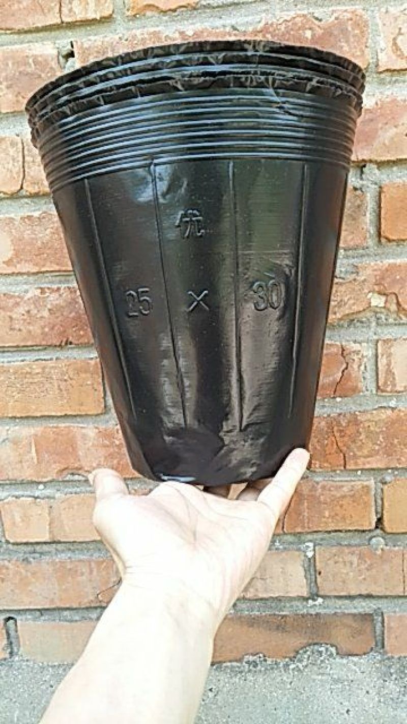 营养杯育苗杯仿瓷塑料花盆营养钵