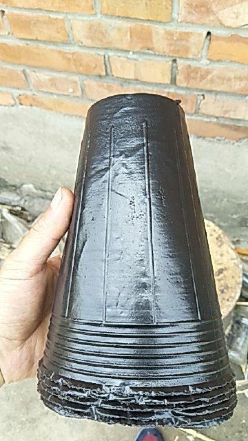 营养杯营养钵育苗盆，树苗杯
