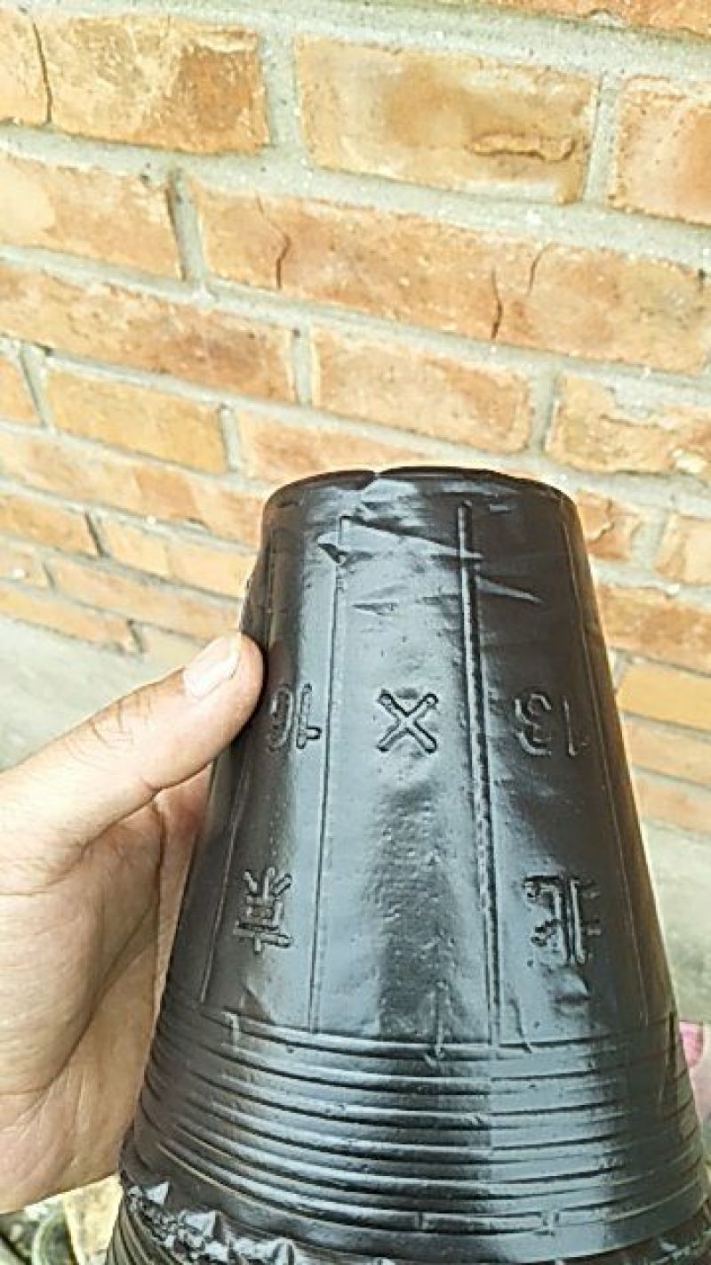 营养杯营养钵育苗杯柑橘杯