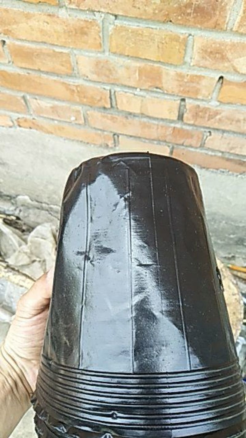 营养杯营养钵育苗营养杯柑橘杯