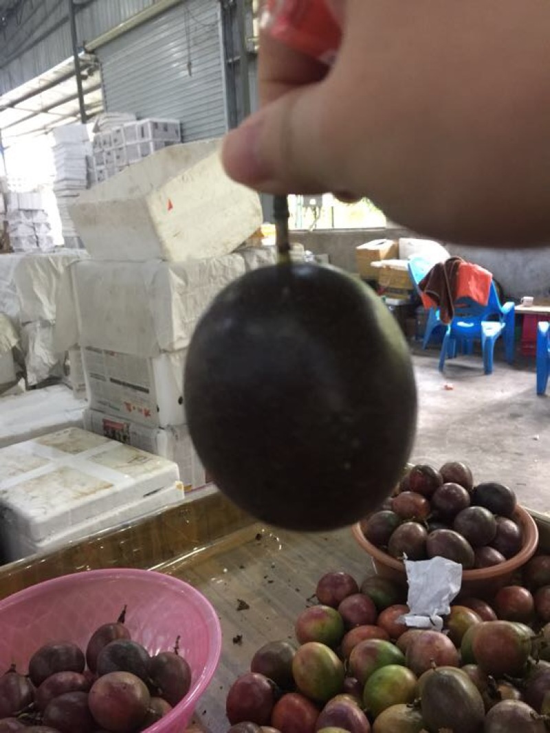 百香果紫果40~50g
