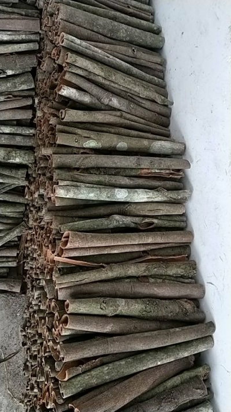 广西桂通桂皮