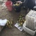西红柿精品硬粉弧三以上