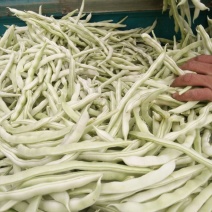 白不老豆角大量上市，有需要的来电咨询，