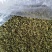 金银花统花