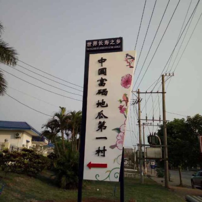 海南澄迈桥头地瓜脱毒苗板栗红薯苗高系14日式板栗薯苗