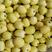 山东潍坊青州星甜20二十甜王0.5斤以上精品大量上市