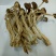 茶树菇精品不开伞