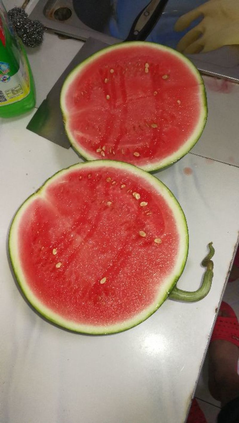 西瓜8成熟