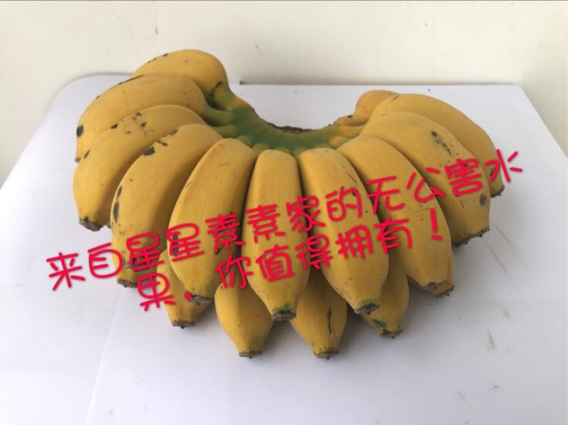 皇帝蕉七成熟