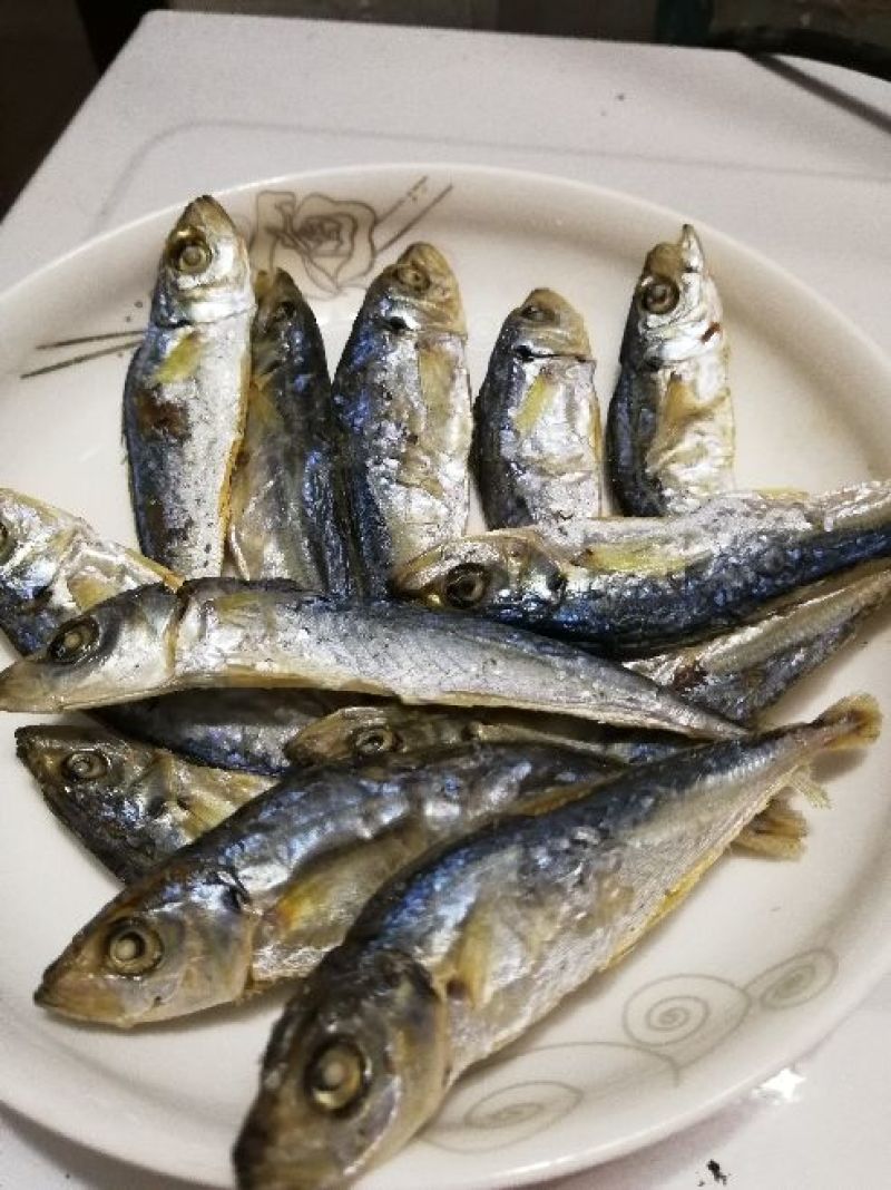 天然波浪鱼干