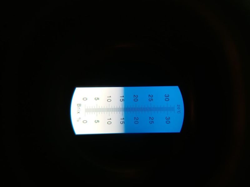 《预售》西瓜9.5成熟1茬，订单生产产品请提前一个月下单