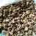 毛慈菇纯野生干统货980元一市斤，贵州省遵义市绥阳县。