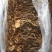 白茶树菇10cm