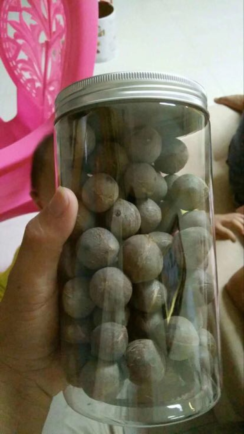 椰皇海椰皇。煲汤首选