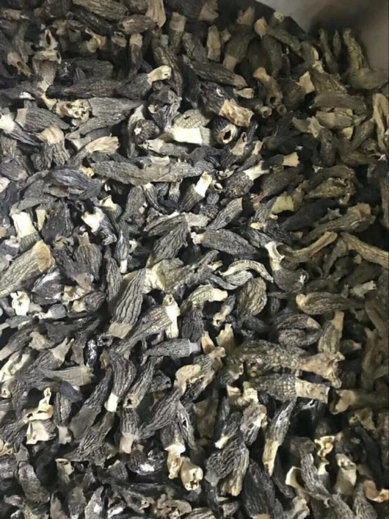 羊肚菌中上通货