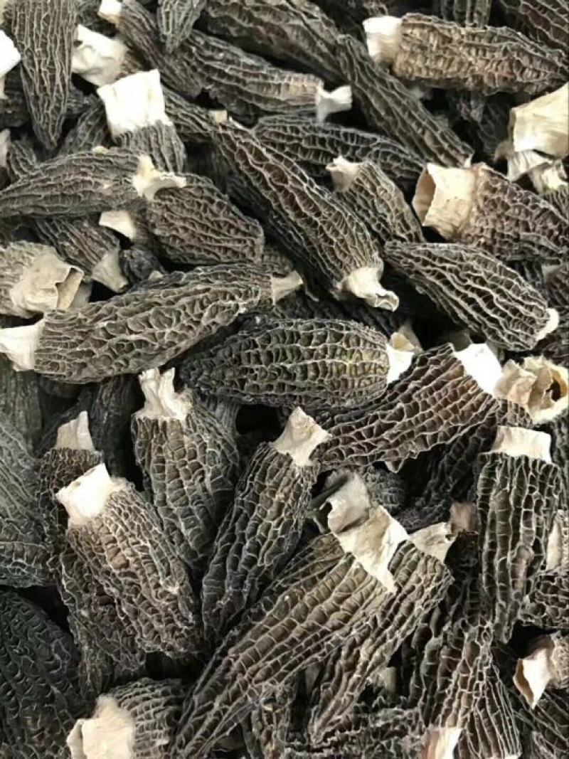 羊肚菌中上通货