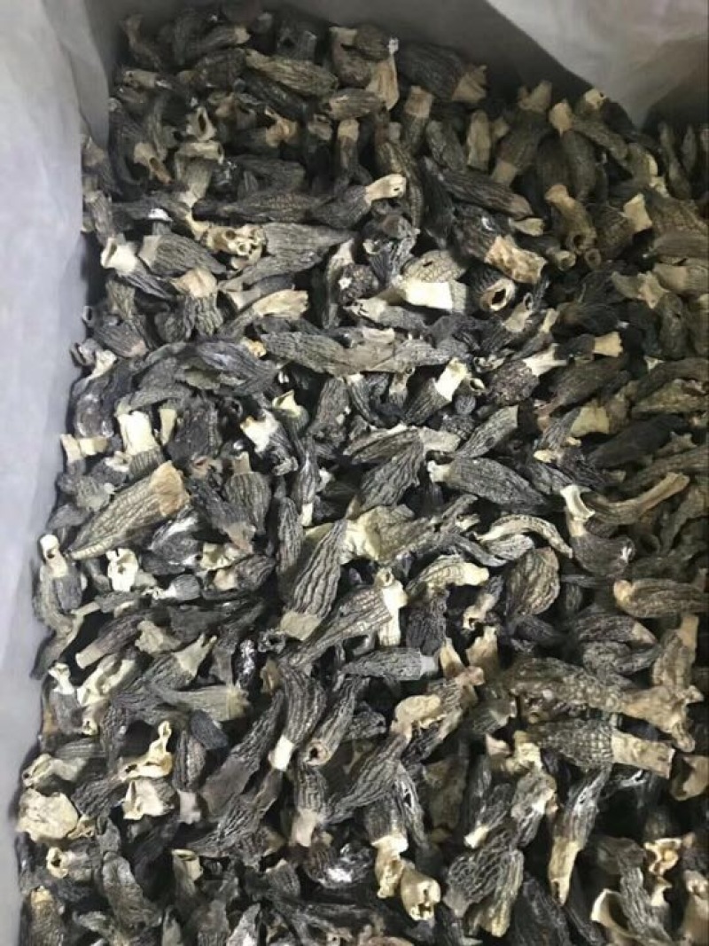 羊肚菌中上通货