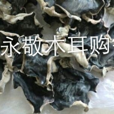 丰县木耳泡水多，肉厚，口感好